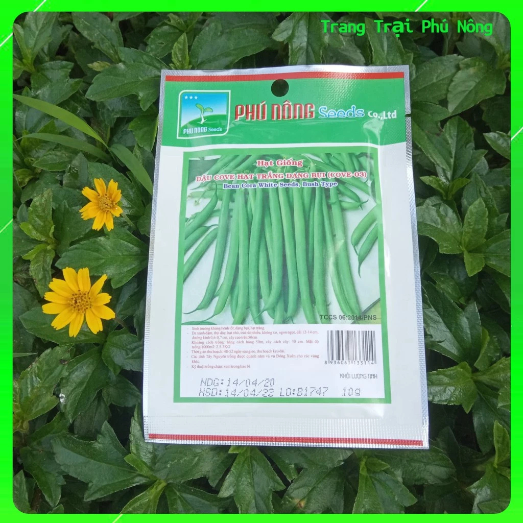 Hạt Giống Đậu Cove Hạt Trắng Dạng Bụi (Cove-03) Phú Nông- Gói 10g - Bean Cora White Seed, Pole Type