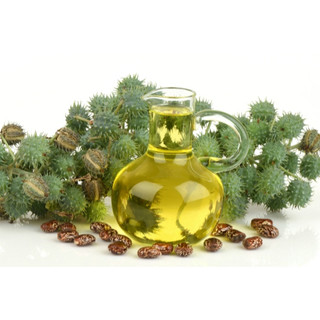 Dầu Thầu Dầu (Castor Oil)