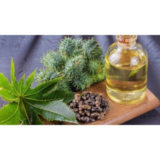 Dầu Thầu Dầu (Castor Oil)