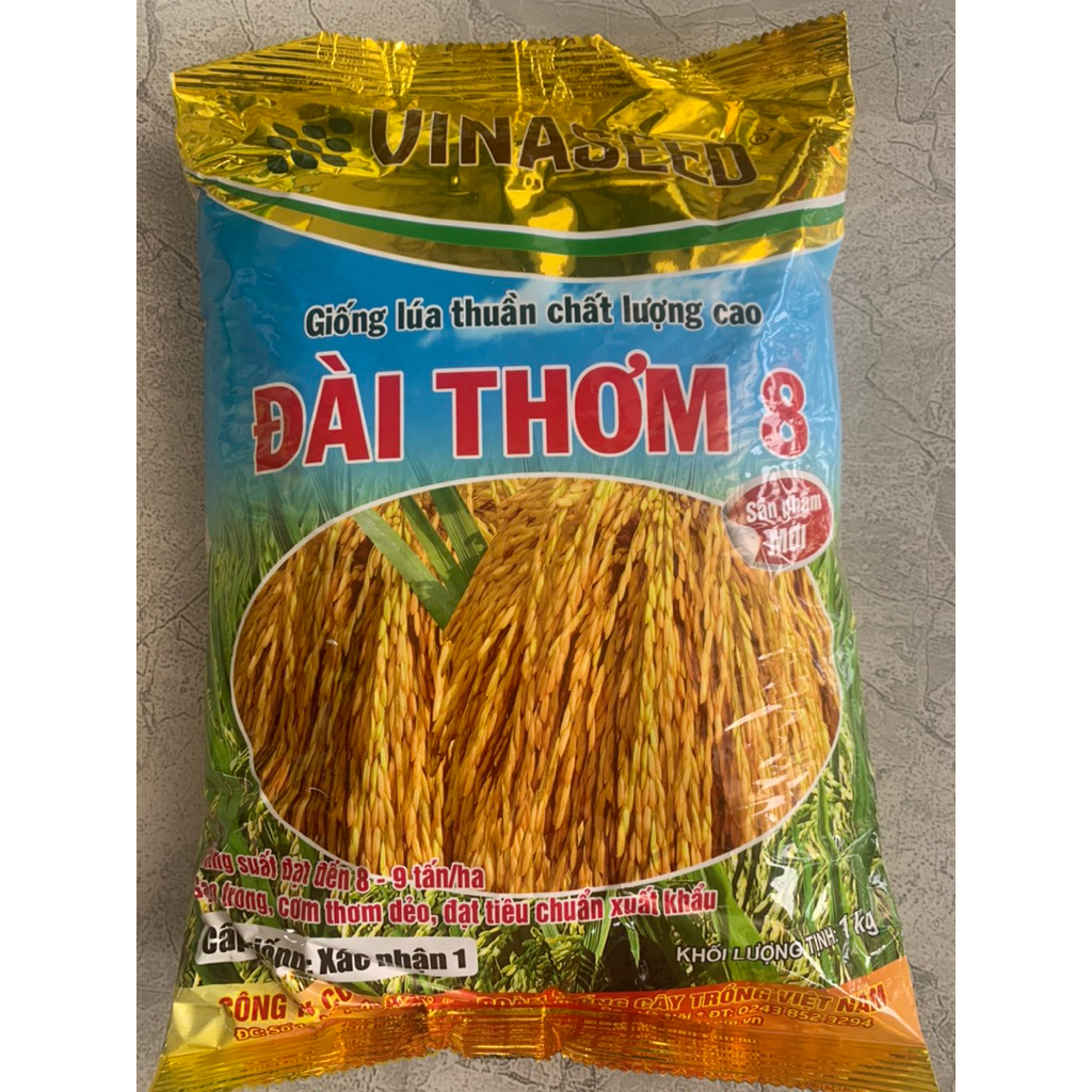 lúa giống đài thơm 8