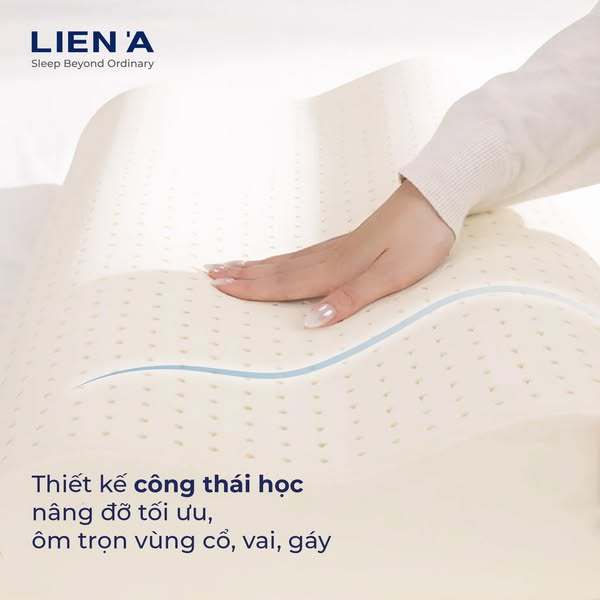 Gối Cao Su Lượn Sóng Contour Liên Á Đạt Chuẩn ECO An Toàn, Thiết Kế Công Thái Học Nâng Đỡ Êm Ái | BigBuy360 - bigbuy360.vn