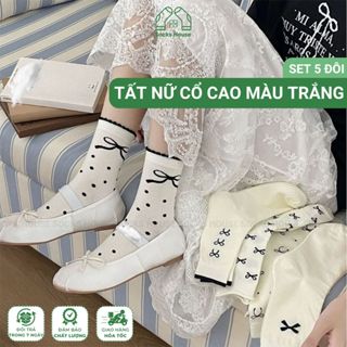 Set 5 đôi tất nữ nữ hàn quốc cổ cao Socks House hoạ tiết nơ, chất liệu cotton dày dặn, thấm hút mồ hôi - CBCC85