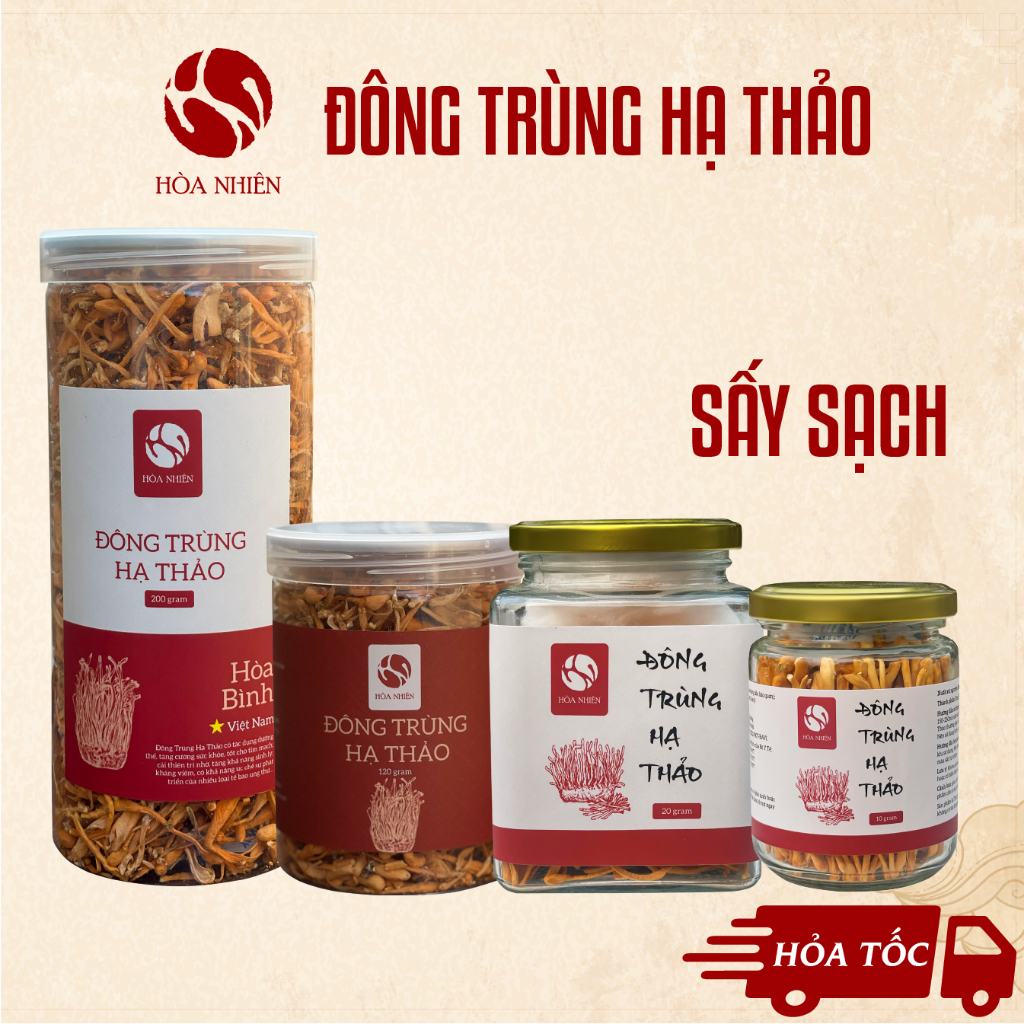 Đông Trùng Hạ Thảo, nấm Đông Trùng sấy nhiệt và sấy thăng hoa | Hòa Nhiên