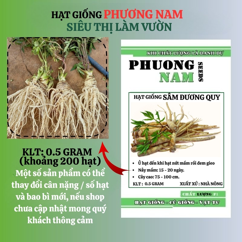 0.5 Gram - Hạt Giống Sâm Đương Quy Phương Nam
