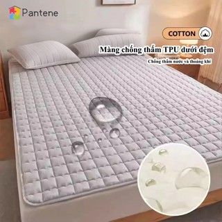 Nệm Điều Hòa PANTEN Trải Giường Trải Sàn Siêu Mỏng, Đệm lót chống thấm nước không nóng bí có dây bo chun chống trượt