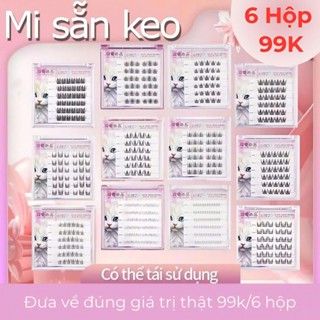 Lông mi giả SẴN KEO 99K/6 hộp, có thể tái sử dụng, chống nước 24h chuẩn dáng Hàn Quốc