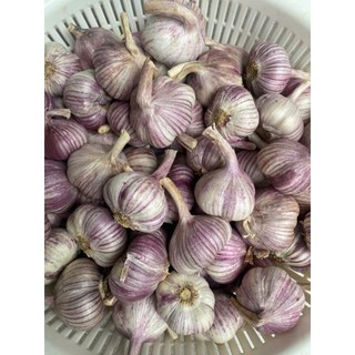 tỏi tím bắc hàng tuyển siêu thơm ngon, không chất bảo quản.
