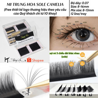  Mi Khay Trung Hoa Ngọn Sole Cong LJ LB LC J B C CC D Dày 0.07 Siêu Bám Keo   Thúy Hà 