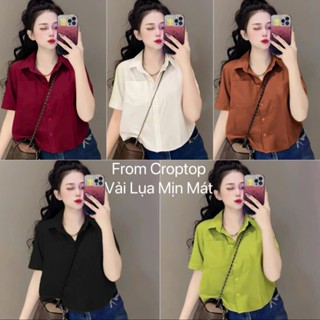 COMBO 2 Áo Thời Trang Nữ Áo Sơ Mi Cổ Sơ Mi Tay Ngắn Lụa Kiểu Croptop Bigsize 45-95kg Dành Cho Nàng Mũm Mĩm
