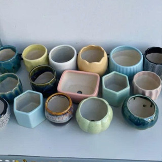  Chậu gốm sứ Bát Tràng - chậu trồng sen đá xương rồng 