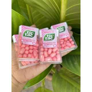 Kẹo ngậm TicTac 14.5gr