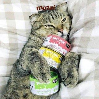 Pate cho mèo Pate sữa dê KitCat Lon 70gr