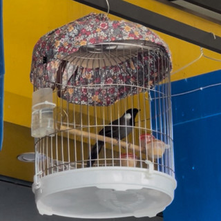 Lồng Chim Khướu Inox - Loại to - Lồng T42 Lùn Inox Thái An