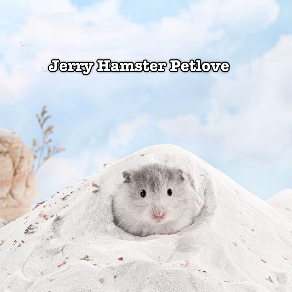 Cát Tắm Silica Cho Hamster(Có chiết hãng)