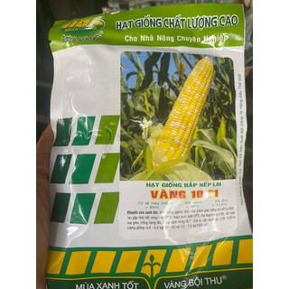 HẠT GIỐNG BẮP MỸ GÓI 350 HẠT