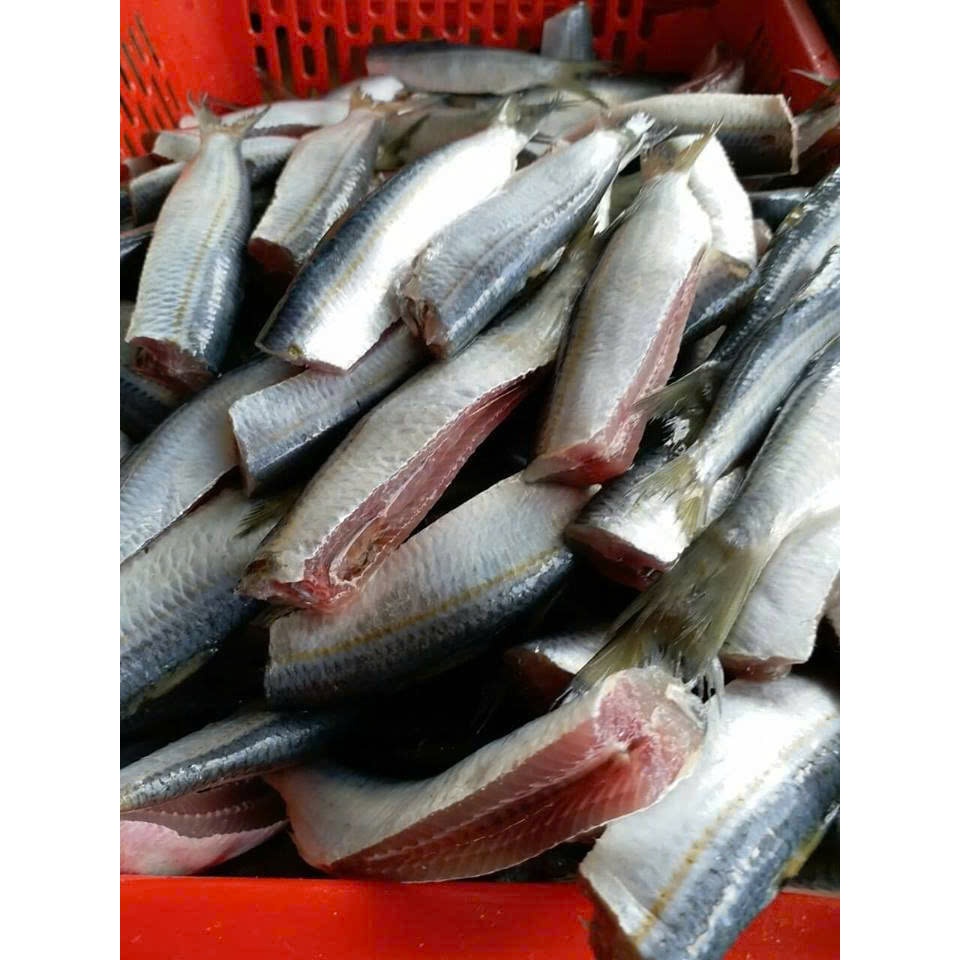 Cá trích HTK làm sạch khay 500gr [Hà Nội giao hỏa tốc] - Ảnh 5