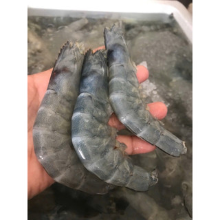 TÔM LỘT SIZE TO 30-39 con 1kg