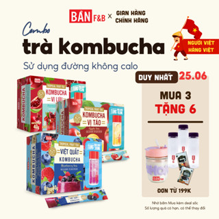 Combo Trà Kombucha Sử Dụng Đường Không Calo, Trà Trái Cây Hỗ Trợ Tiêu Hóa, Detox Cơ Thể, Ít Calo - BẢN F&B