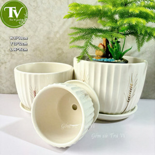 Chậu sứ trồng cây để bàn, chậu sứ văn phòng, chậu trồng cây tráng men
