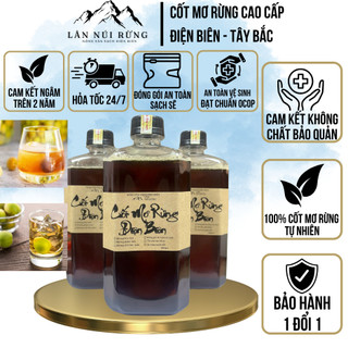 Mơ Rừng Ngâm Đường 500ml – Đặc Sản Điện Biên – Lân Núi Rừng – Chuẩn Dân Tộc Thái – Thơm Ngon Dễ Uống