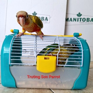  Lồng vận chuyển cho vẹt nhỏ hamster.... 