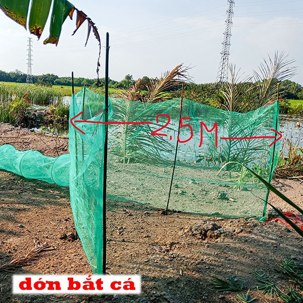 Bán dớn bắt cá, tôm, lươn, rắn lắp đặt đơn giản, cực hiệu quả
