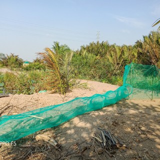 Bán dớn bắt cá, tôm, lươn, rắn lắp đặt đơn giản, cực hiệu quả