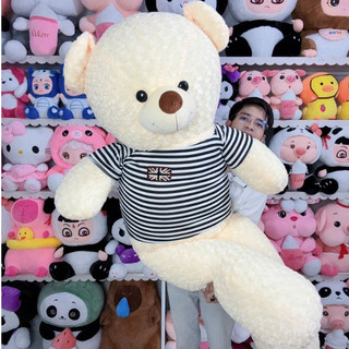 Gấu Bông Teddy Khổ Vải 1M6 Cao 1M4 Thú Nhồi Bông Teddy