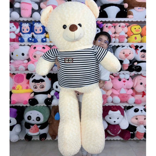 Gấu Bông Teddy Khổ Vải 1M6 Cao 1M4 Thú Nhồi Bông Teddy