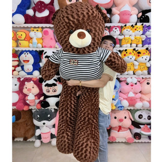Gấu Bông Teddy Khổ Vải 1M6 Cao 1M4 Thú Nhồi Bông Teddy