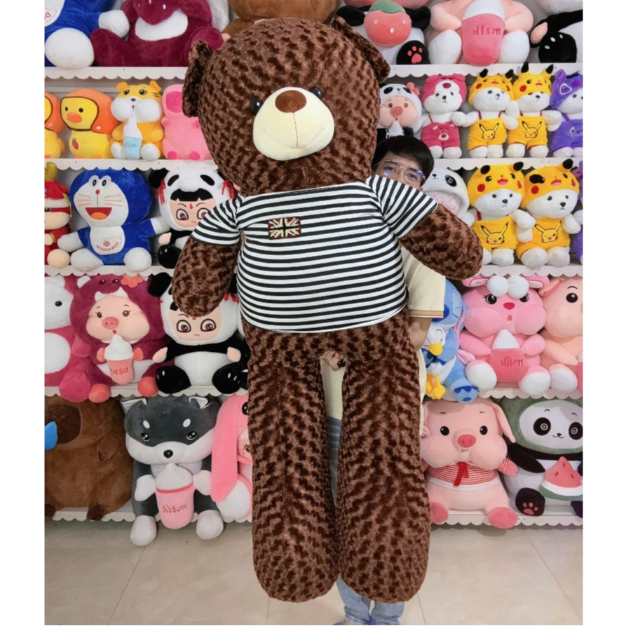 Gấu Bông Teddy Khổ Vải 1M6 Cao 1M4 Thú Nhồi Bông Teddy
