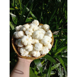 Măng cụt xanh gọt sẵn ( ruột măng cụt xanh ) 300gr