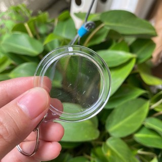 [Thanh lý móc khóa xước] Phôi móc khoá mica Acrylic trong suốt xước