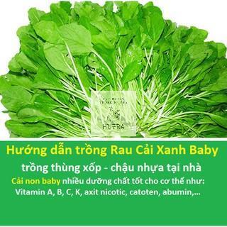 Hạt Giống Rau/Củ/Quả Trồng 4 Mùa ✔️Hạt giống rau Ăn mầm, Mầm lá lớn, Mầm củ cải trắng, Mầm cải xanh cay baby, Mầm Cải Đỏ