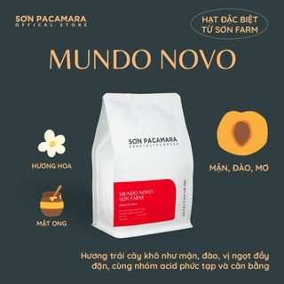   New Crop 2025  Specialty Coffee Gói Mundo Novo Sơn Farm Hương Tinh Tế  Rang Nhạt Gói 100gr 250 