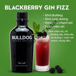 Gin Bulldog 700ml [Chính Hãng][Top Rượu VN]