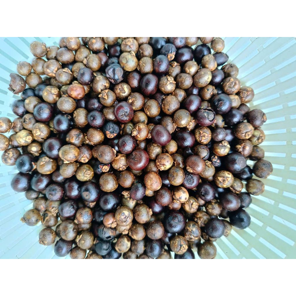 Đủng Đỉnh phơi khô sao vàng - gói 1kg