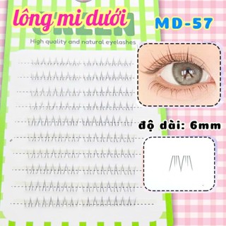 Lông Mi Dưới Tự Nhiên MD57 GREEN Thuỷ Mi