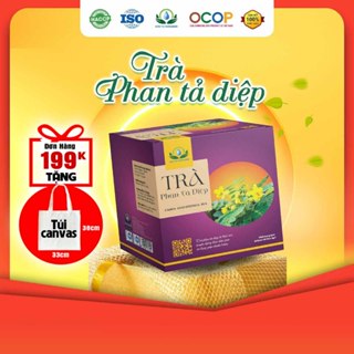  Trà Phan Tả Diệp Siêu Thị Thiên Nhiên - Hộp 30 Túi Lọc 