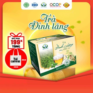 Trà Đinh Lăng Siêu Thị Thiên Nhiên - Hộp 30 Túi Lọc x 3Gram