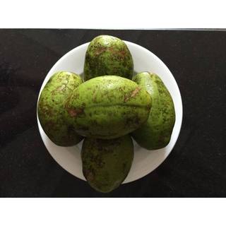 [Chỉ Giao HCM] Cóc Cầy Cóc To - 1kg
