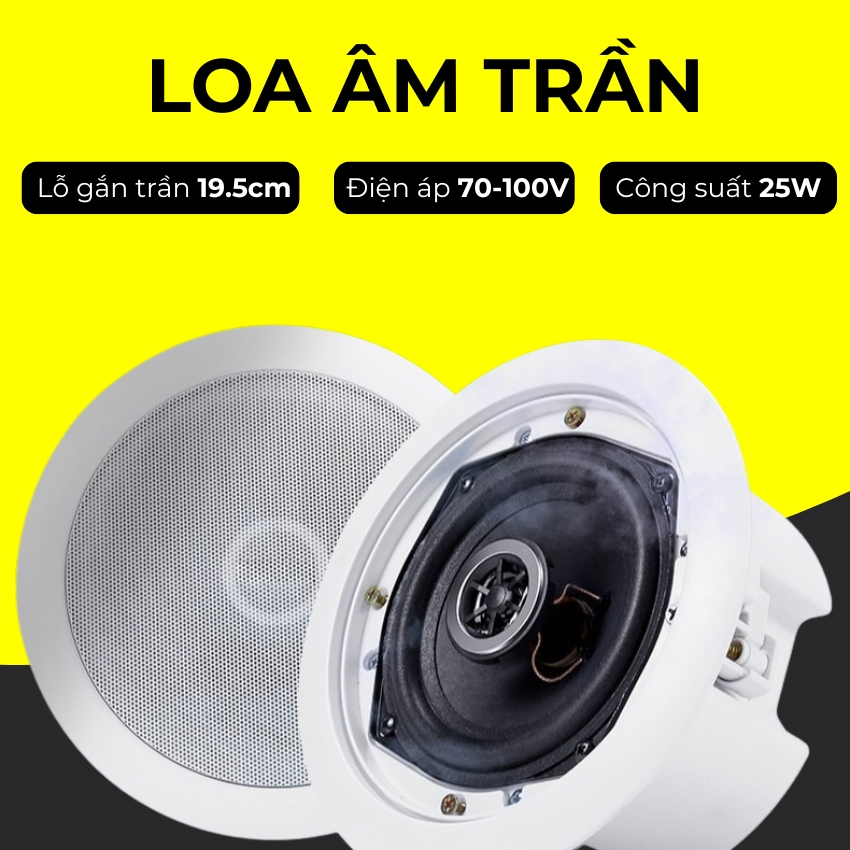 Loa âm trần, loa gắn trần, loa âm trần nghe nhạc cao cấp, loa âm trần cho quán cafe, nhà hàng, văn p