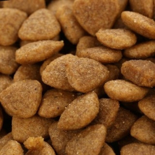 thức ăn hạt cho mèo catsrang 400g