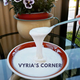 Men sữa chua Langfil dẻo dai không cần ủ nhiệt lên men tự nhiên kiểu Thụy Điển