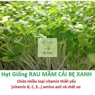 Hạt Giống Rau/Củ/Quả Trồng 4 Mùa ✔️Hạt giống rau Ăn mầm, Mầm lá lớn, Mầm củ cải trắng, Mầm cải xanh cay baby, Mầm Cải Đỏ