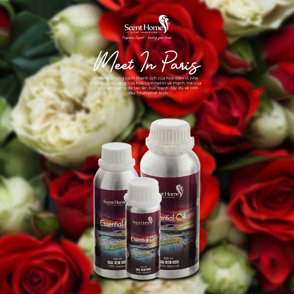 [Chính hãng] Tinh dầu Meet In Paris - ScentHomes (Meet In Paris - 50ml,100ml,250ml)