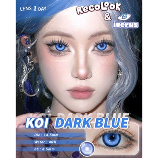 Một cặp kính áp tròng cosplay - Lens cosplay 1 ngày Koi xanh dương đậm Recolook giãn tròng to 14.5mm