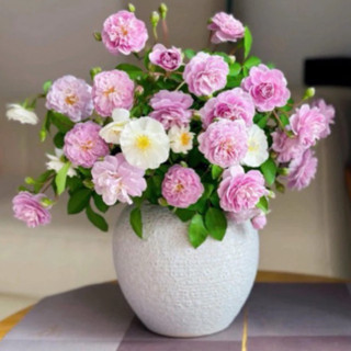 [ Giá sỉ ] Bình gốm Bát Tràng dáng vò tròn quốc dân men trắng lì vân ganh cắm hoa trang trí phòng khách đẹp