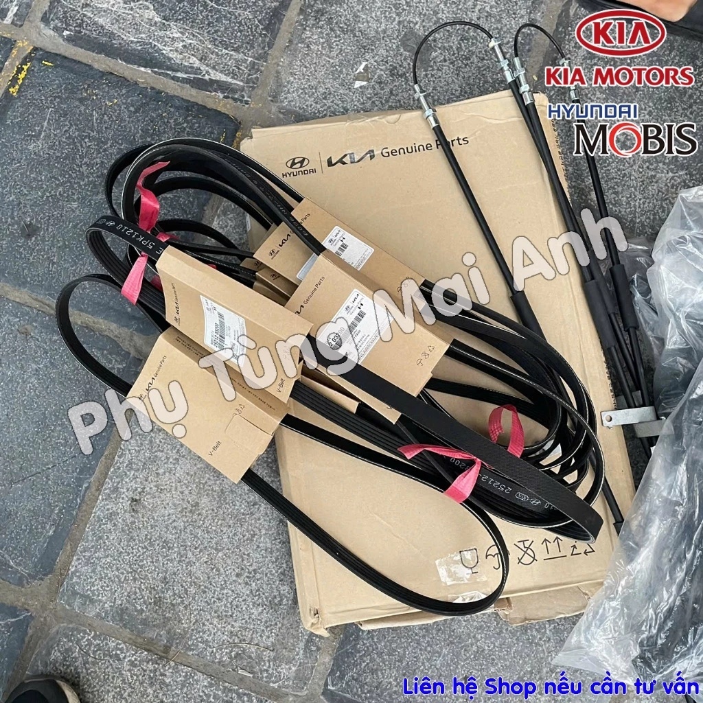 Dây curoa tổng 5PK1210 - MORNING 2012 - 2020 / ACCENT 2014 - 2016 / I20 - Chính Chính hãng - Mã PT: 