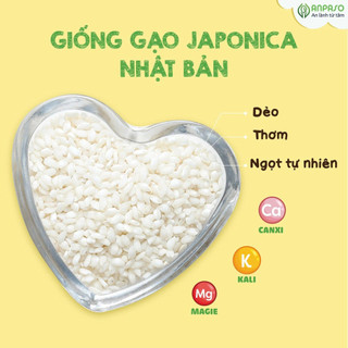 Gạo hữu cơ HOA SỮA Japonica 1kg